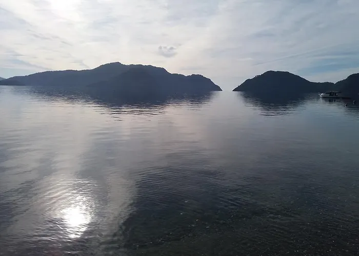 Uysal Oda ve Kahvaltı 3*