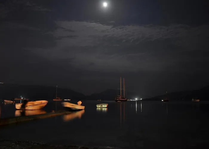 住宿加早餐酒店 Uysal