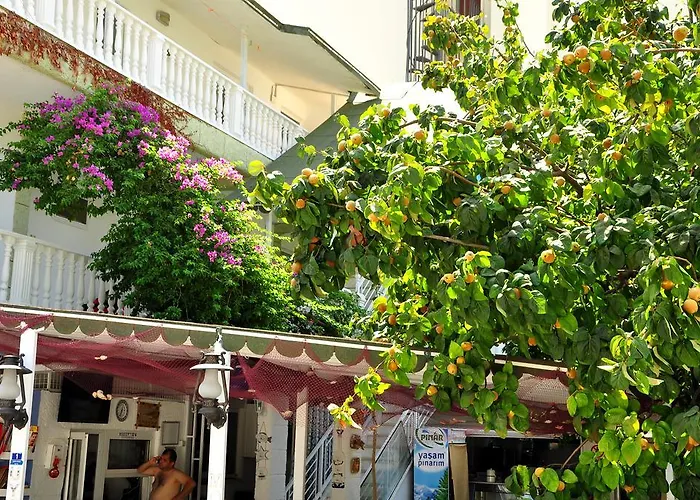 住宿加早餐酒店 Uysal